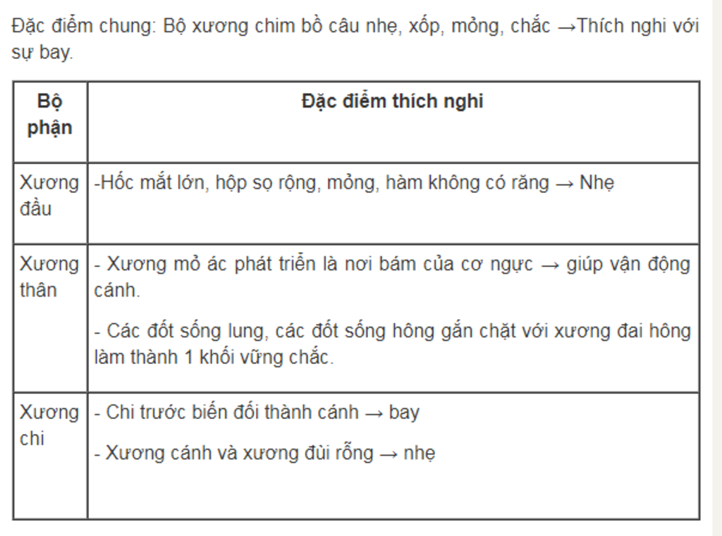 tim-dac-diem-cua-bo-uong-thich-nghi-voi-su-bay-cua-chim-bo-cau