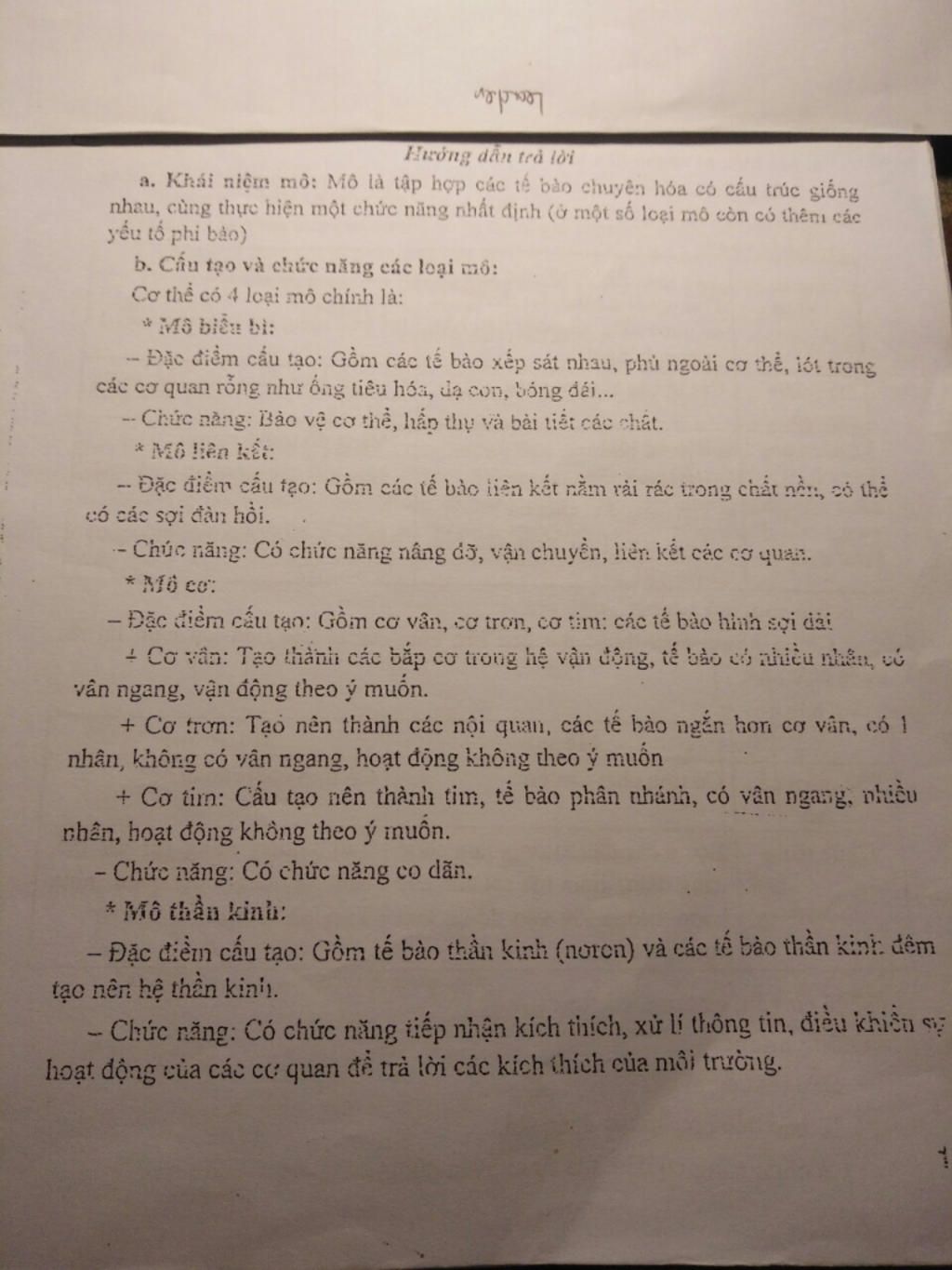 tim-hieu-ve-o-vua-dong-mach-va-tim-hieu-ve-cac-loai-mo-cau-tra-loi-day-du-ngan-gon-nhat