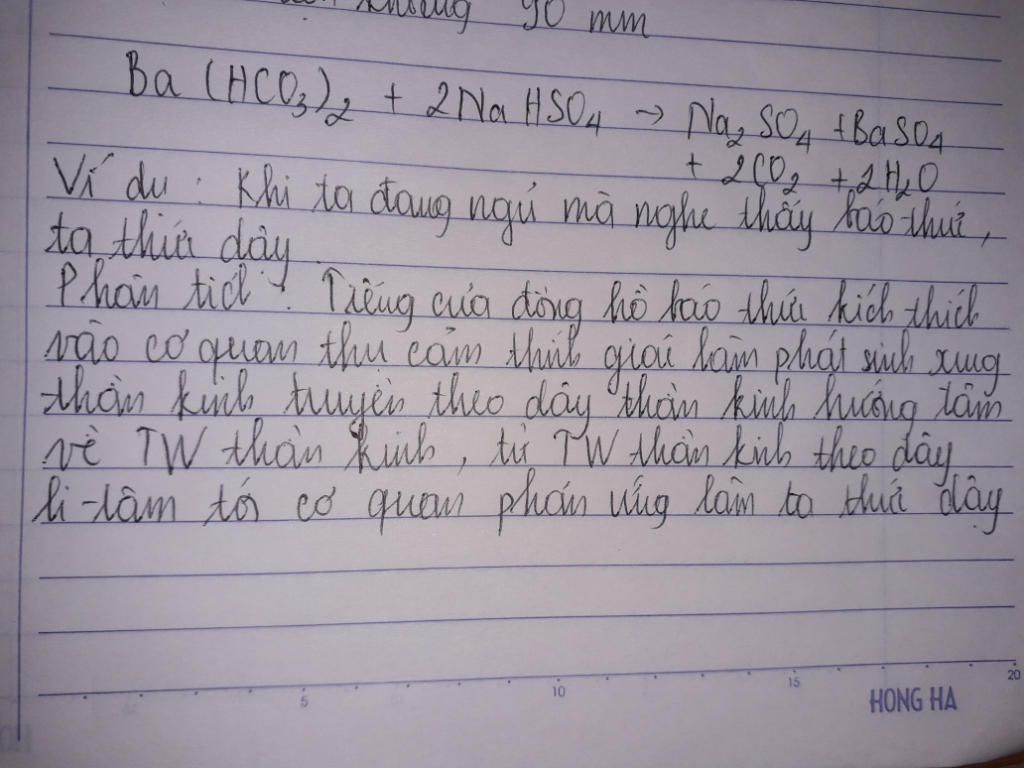 tim-vi-du-ve-phan-a-roi-phan-tich-duong-di-cua-ung-than-kinh-chi-ra-co-quan-thu-cam-va-co-quan-v