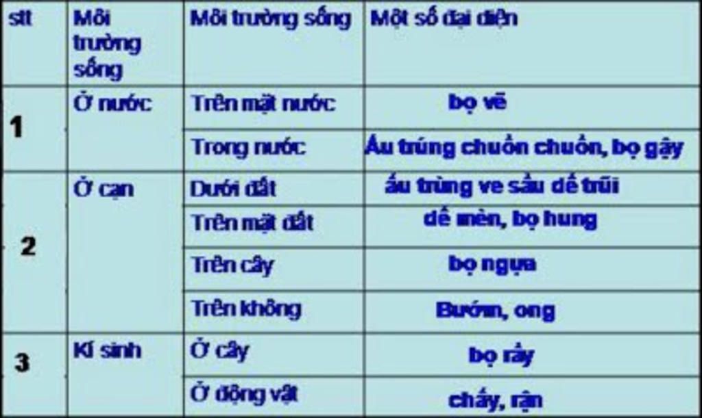 tinh-da-dang-va-phong-phu-cua-lop-sau-bo-ve-moi-truong-song-va-tap-tinh-duoc-the-hien-nhu-the-na
