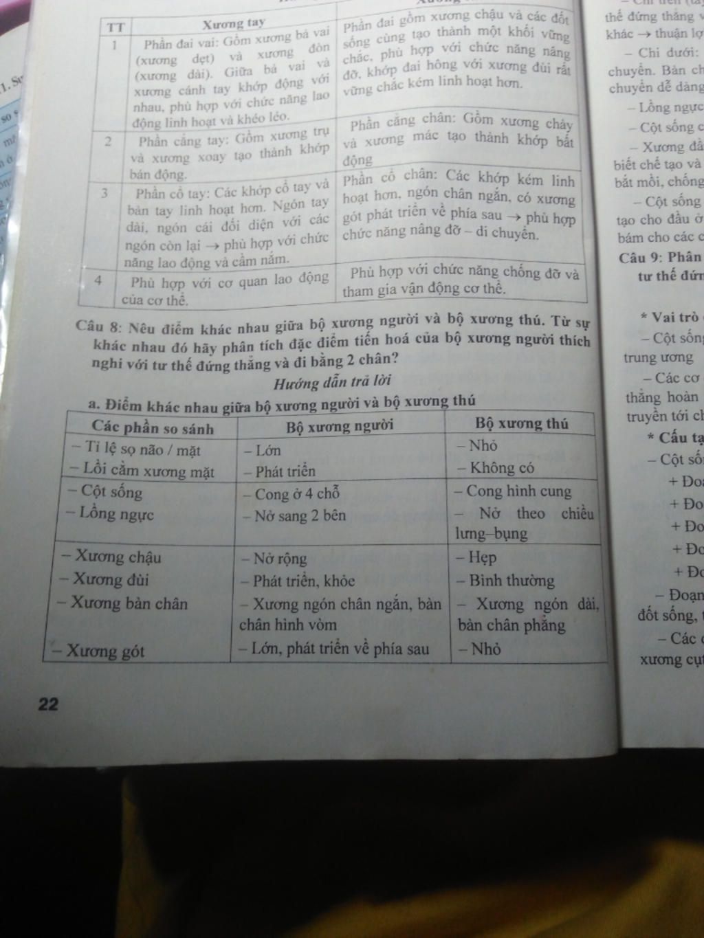 tom-tat-noi-dung-bai-tien-hoa-cua-he-van-dong-lam-han-hoi-ko-copy-mang-mik-se-cho-ctlhn