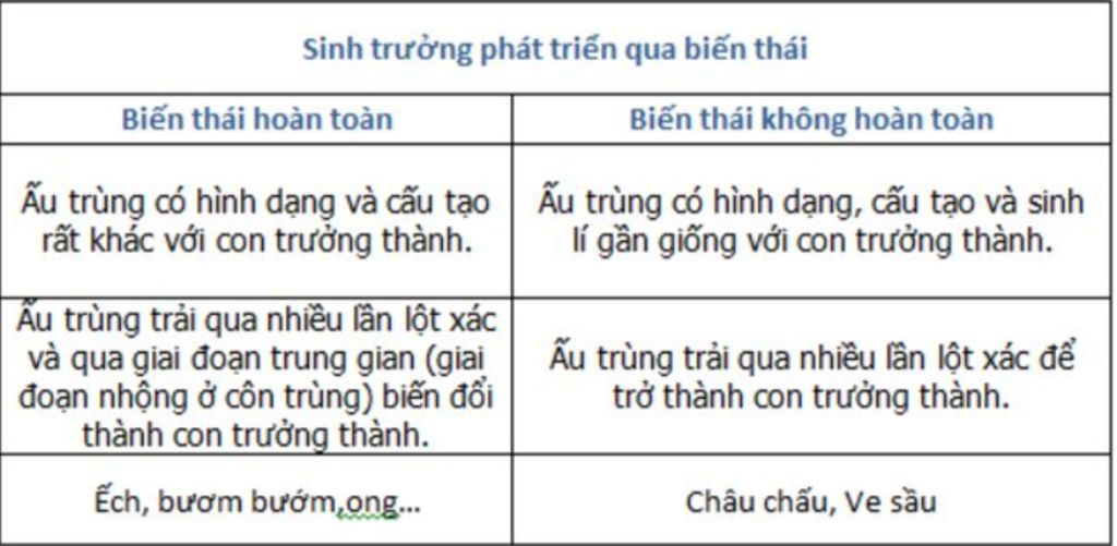tra-loi-giup-e-cau-nay-qua-trinh-bien-thai-co-y-nghia-nhu-the-nao-doi-voi-dong-vat-khong-uong-so