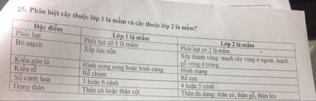 tra-loi-ngan-gon-1-hoa-thu-phan-nho-gio-co-nhung-dac-diem-gi-nhung-dac-diem-do-co-loi-gi-cho-thu