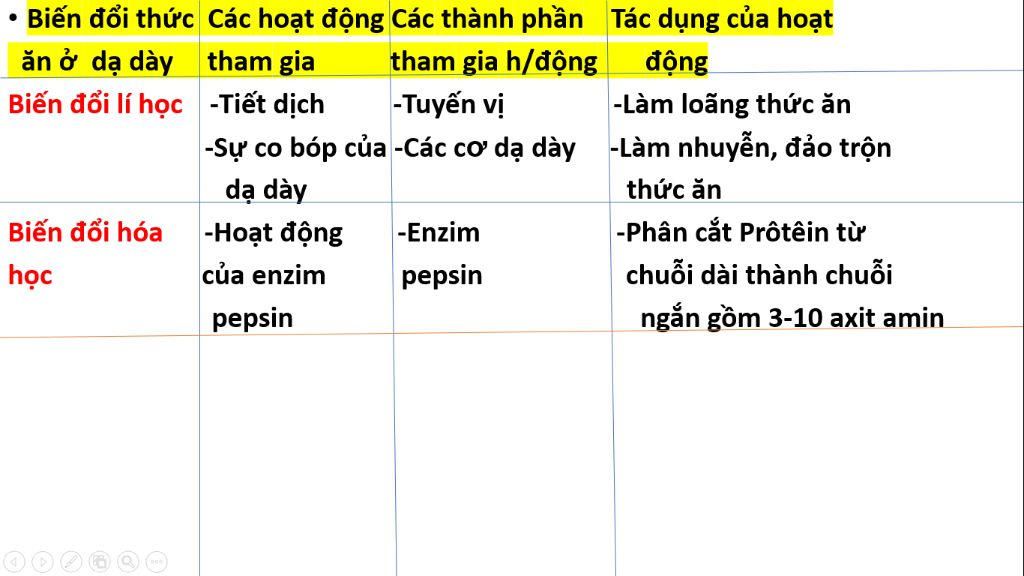 trinh-bay-cac-qua-trinh-tieu-hoa-thuc-an-trong-da-day