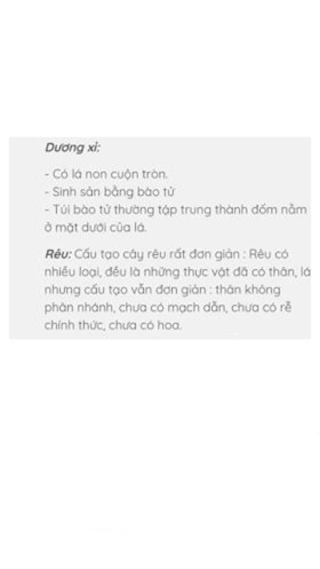 trinh-bay-cau-tao-co-quan-sinh-san-co-quan-sinh-duong-cua-reu-va-duong-i