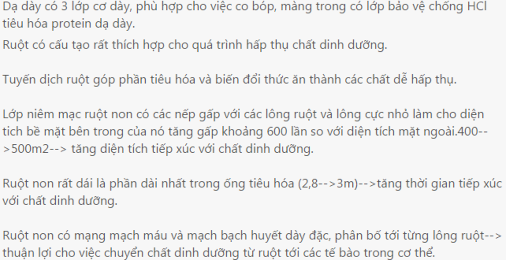 trinh-bay-cau-tao-cua-da-day-phu-hop-voi-chuc-nang-tieu-hoa-thuc-an-trinh-bay-cau-tao-cua-ruot-n