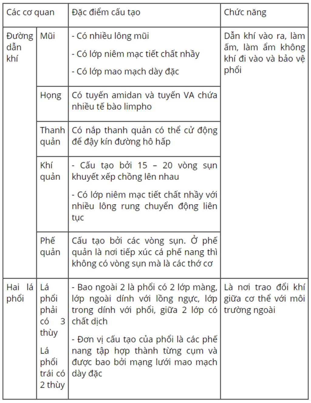 trinh-bay-cau-tao-cua-he-ho-hap-nhanh-can-gap