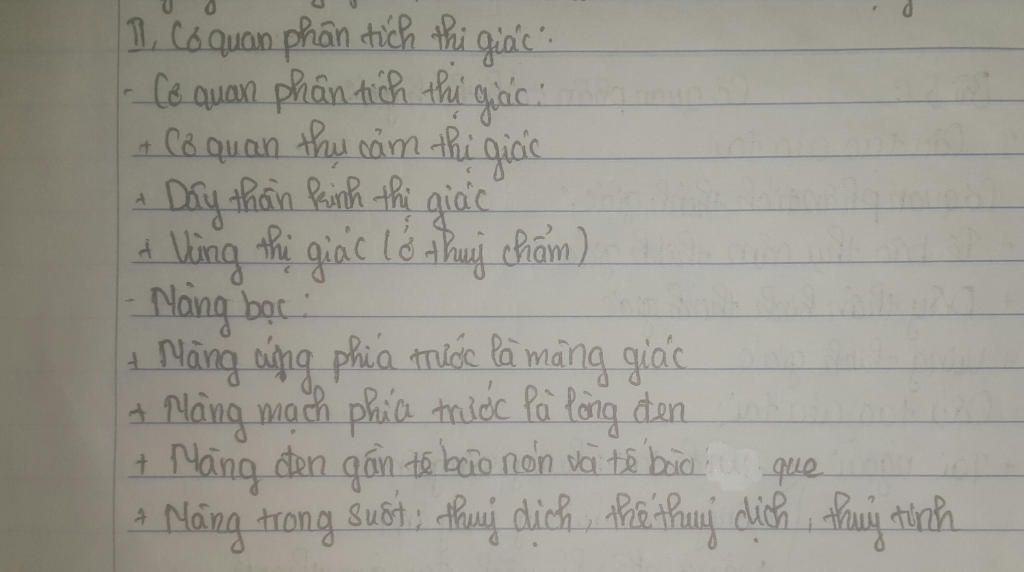 trinh-bay-cau-tao-cua-thi-giac-thinh-giac