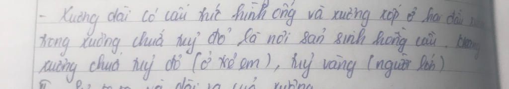 trinh-bay-cau-tao-mot-uong-dai-ai-giup-e-voi-a-mai-em-thi