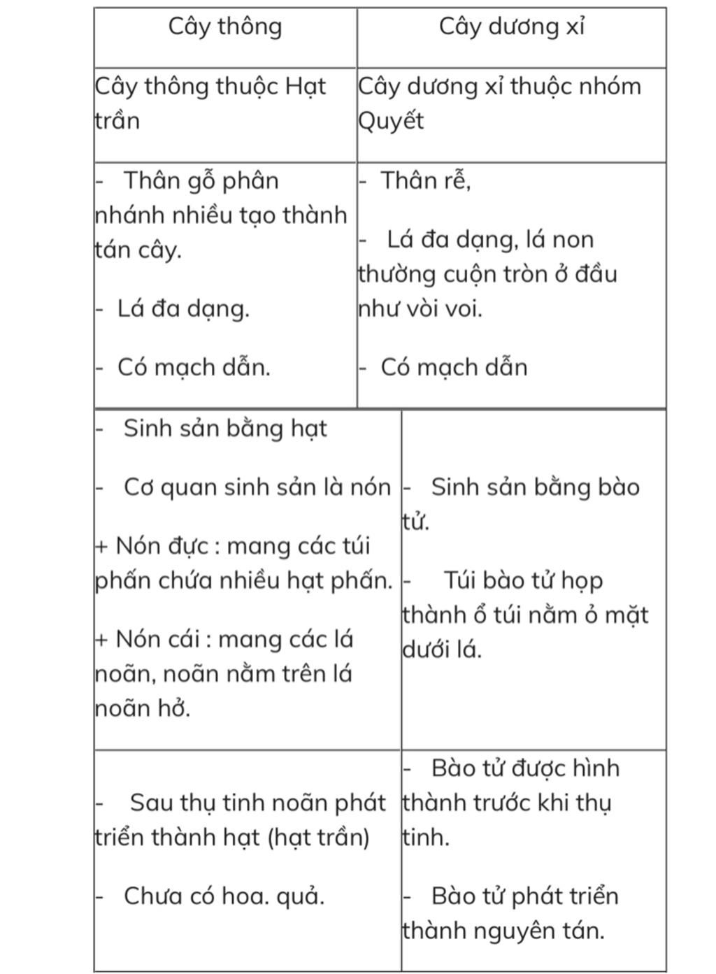 trinh-bay-cau-tao-ngoai-cua-cay-thong-thong-sinh-san-nhu-the-nao-so-sanh-moi-truong-song-co-quan