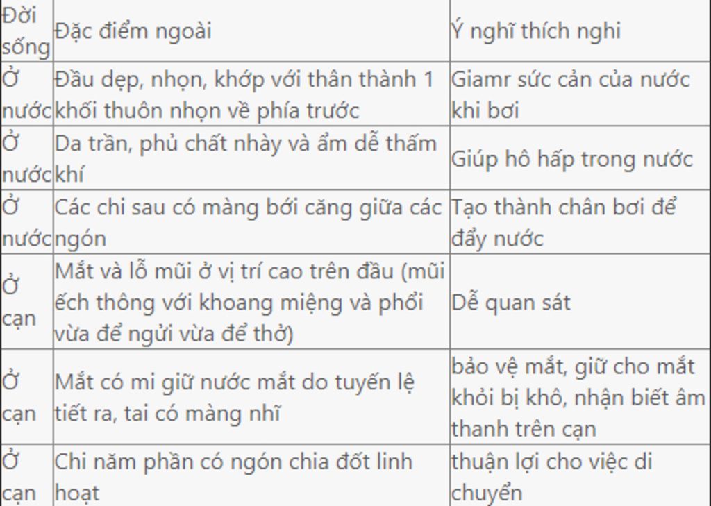 trinh-bay-cau-tao-ngoai-cua-luong-cu-thich-nghi-voi-nua-nuoc-nua-can