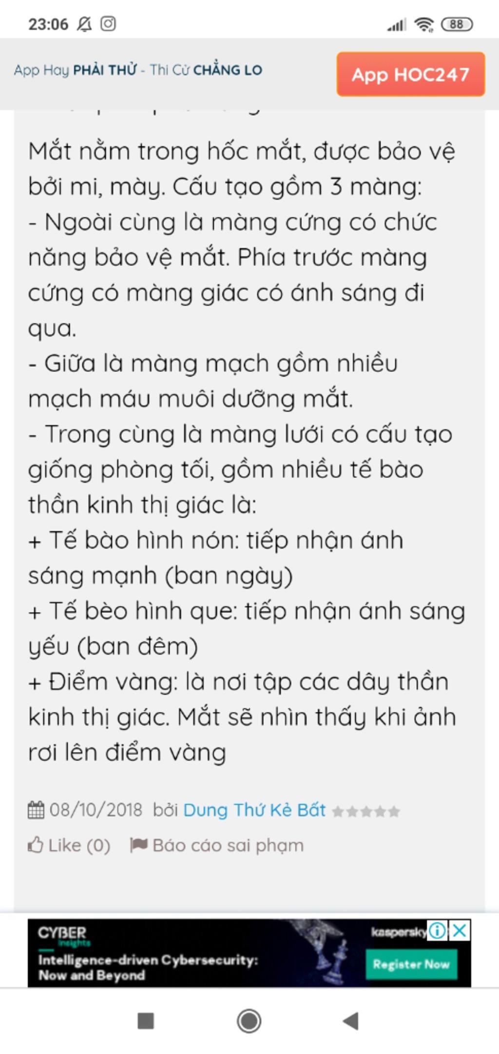 trinh-bay-chuc-nang-cua-cau-mat-giup-tui-vs-mn-ei-mai-tui-kt-hk-can-gap-tui-hua-vote-5-tlhn