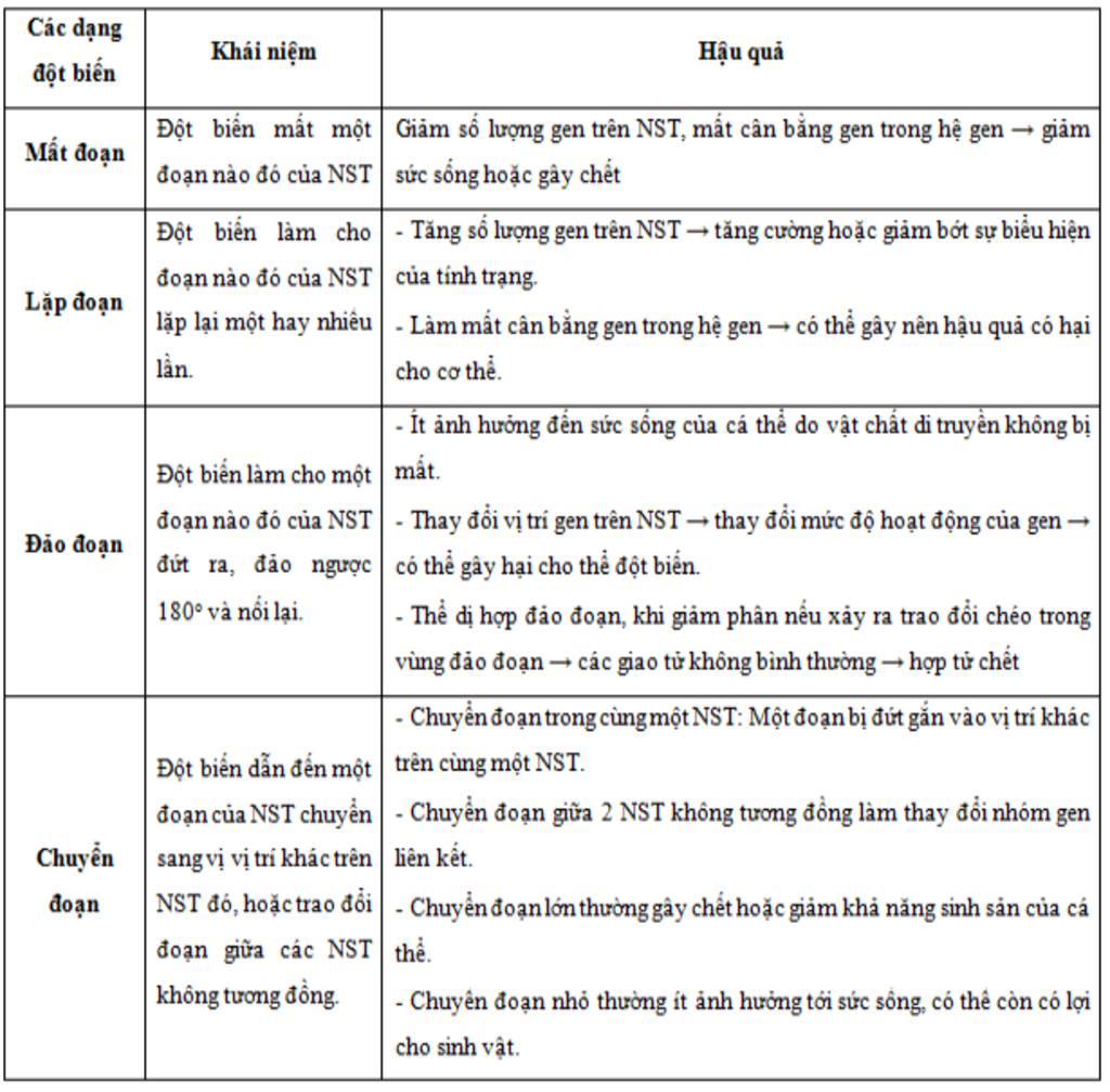 trinh-bay-co-che-hau-qua-va-y-nghia-cua-moi-dang-dot-bien-cau-truc-nst-giup-gap-vs-mai-minh-kt-r