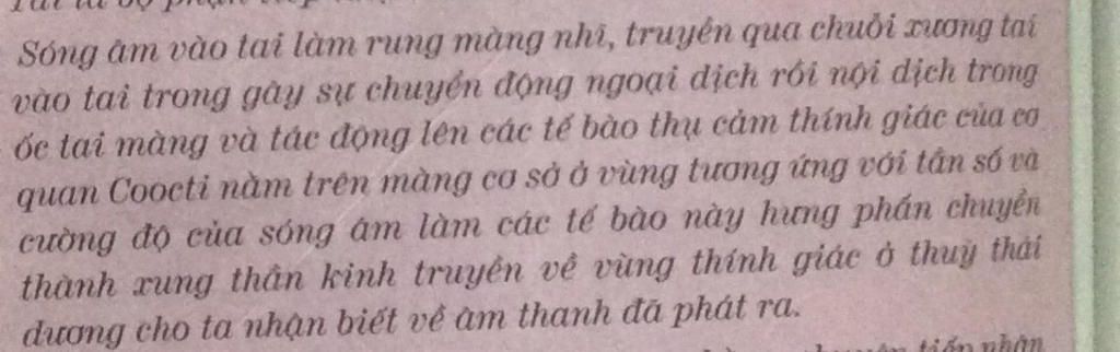 trinh-bay-co-che-thu-nhan-song-am-giai-thich-vi-sao-nen-tam-nang-luc-8-9h-sang