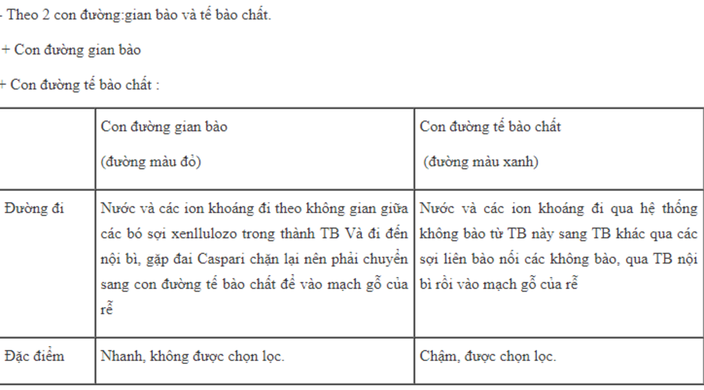 trinh-bay-con-duong-hap-thu-nuoc-va-muoi-khoang-tu-dat-den-cay