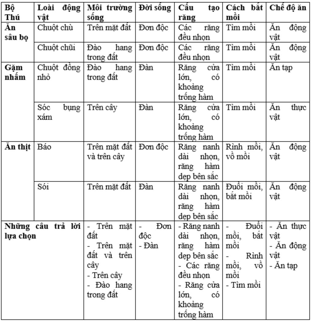 trinh-bay-dac-diem-cau-tao-bo-an-sau-bo-gap-nham-bo-an-thit-ve-cong-nghiep