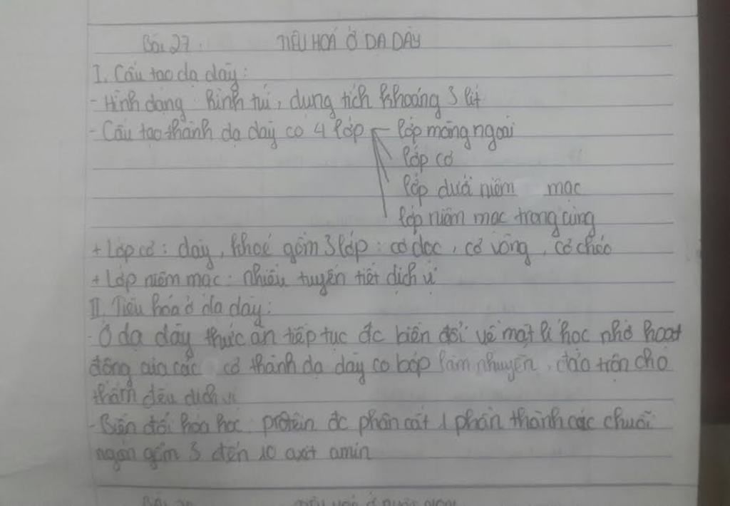 trinh-bay-dac-diem-cau-tao-cua-da-day-phu-hop-vs-chuc-nang-cua-tieu-hoa-thuc-an-nhung-hoat-dong