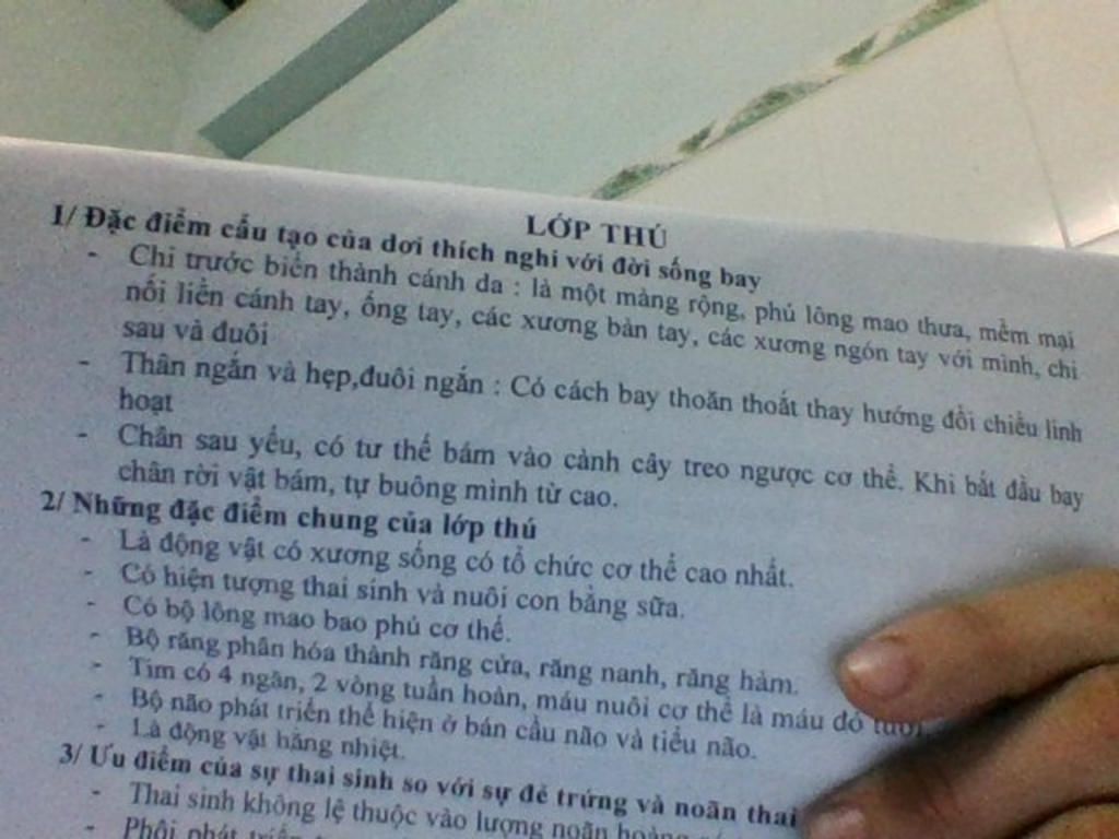 trinh-bay-dac-diem-cau-tao-ngoai-cua-doi-thich-nghi-voi-doi-song-bay-va-ca-voi-thich-nghi-voi-do