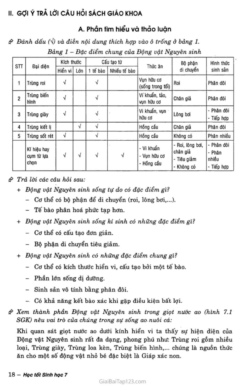 trinh-bay-dac-diem-chunh-va-vai-tro-cua-nganh-dong-vat-nguyen-sinh