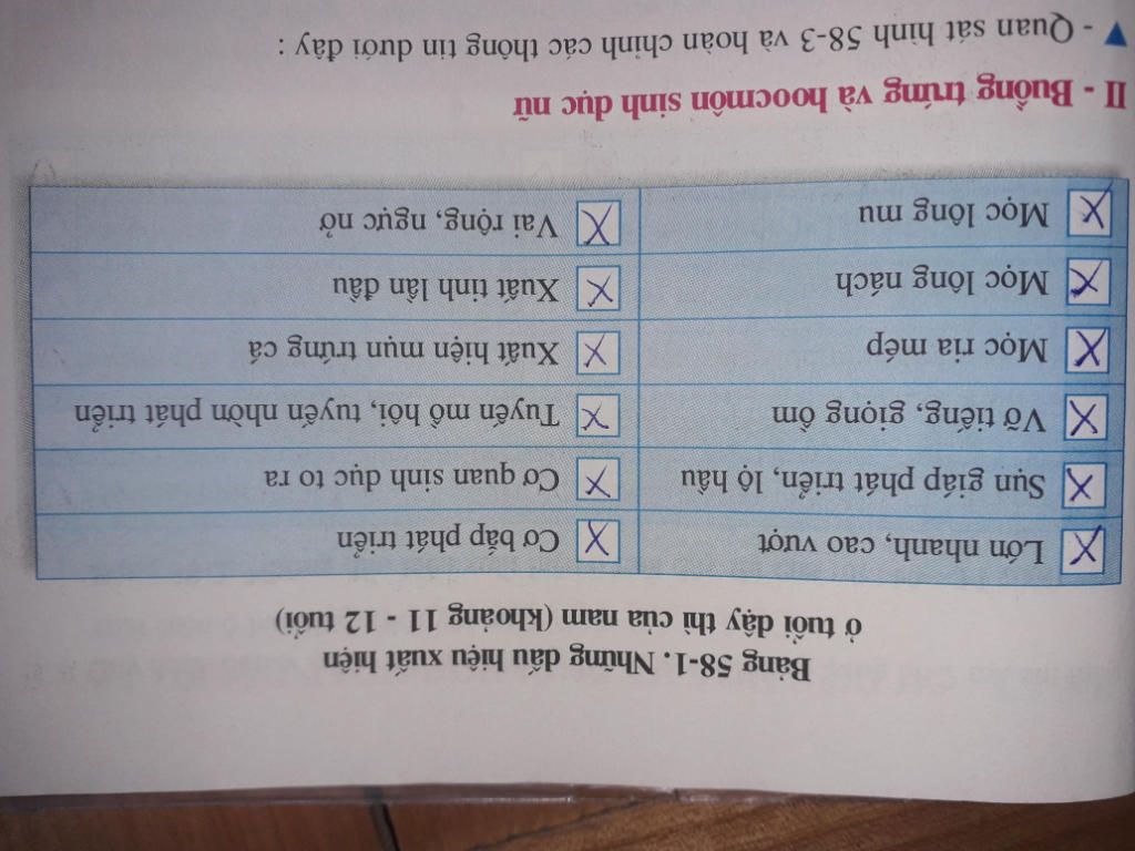 trinh-bay-dau-hieu-uat-hien-o-tuoi-day-thi-nam-va-nu