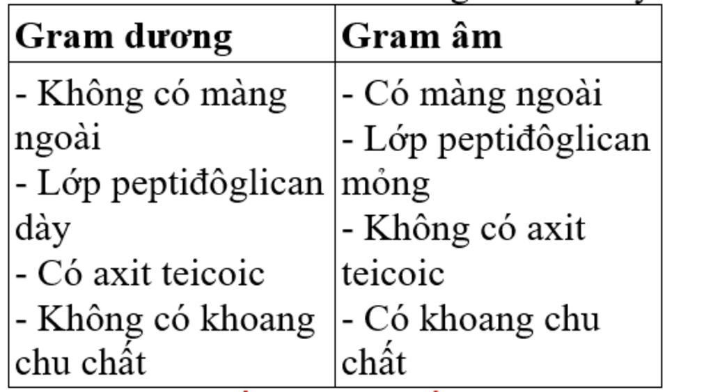 trinh-bay-diem-khac-nhau-ve-cau-tao-giua-vi-khuan-gram-duong-va-vi-khuan-gram-am