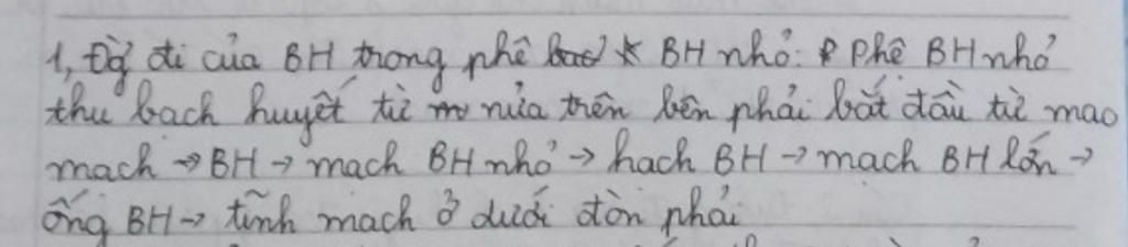 trinh-bay-duong-di-cua-bach-huyet-trong-phan-he-bach-huyet-nho