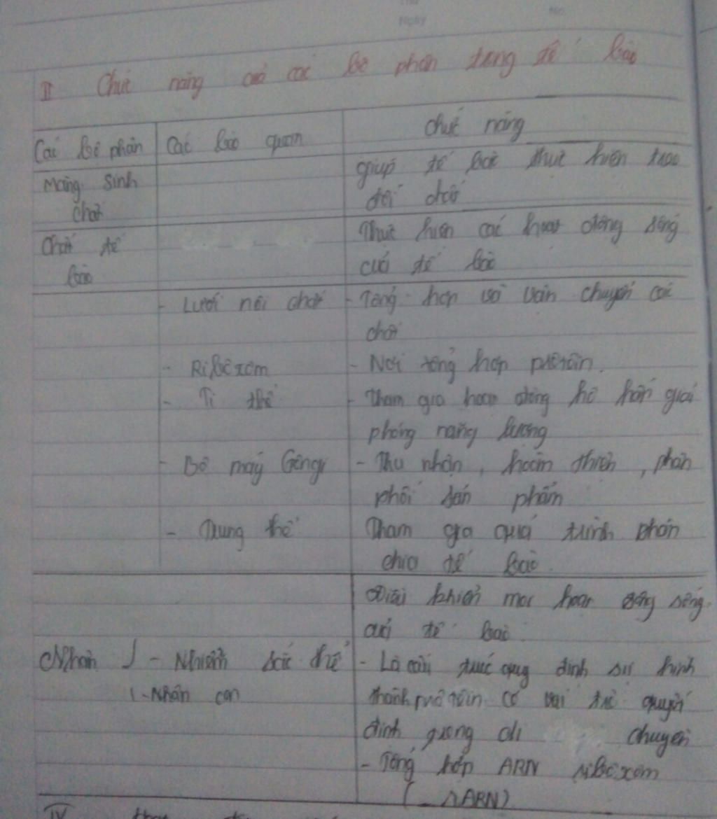 trinh-bay-moi-lien-he-ve-chuc-nang-nhung-thanh-phan-trong-te-bao