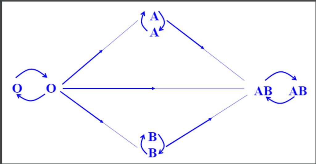 trinh-bay-moi-quan-he-cho-va-nhan-giua-cac-nhom-mau