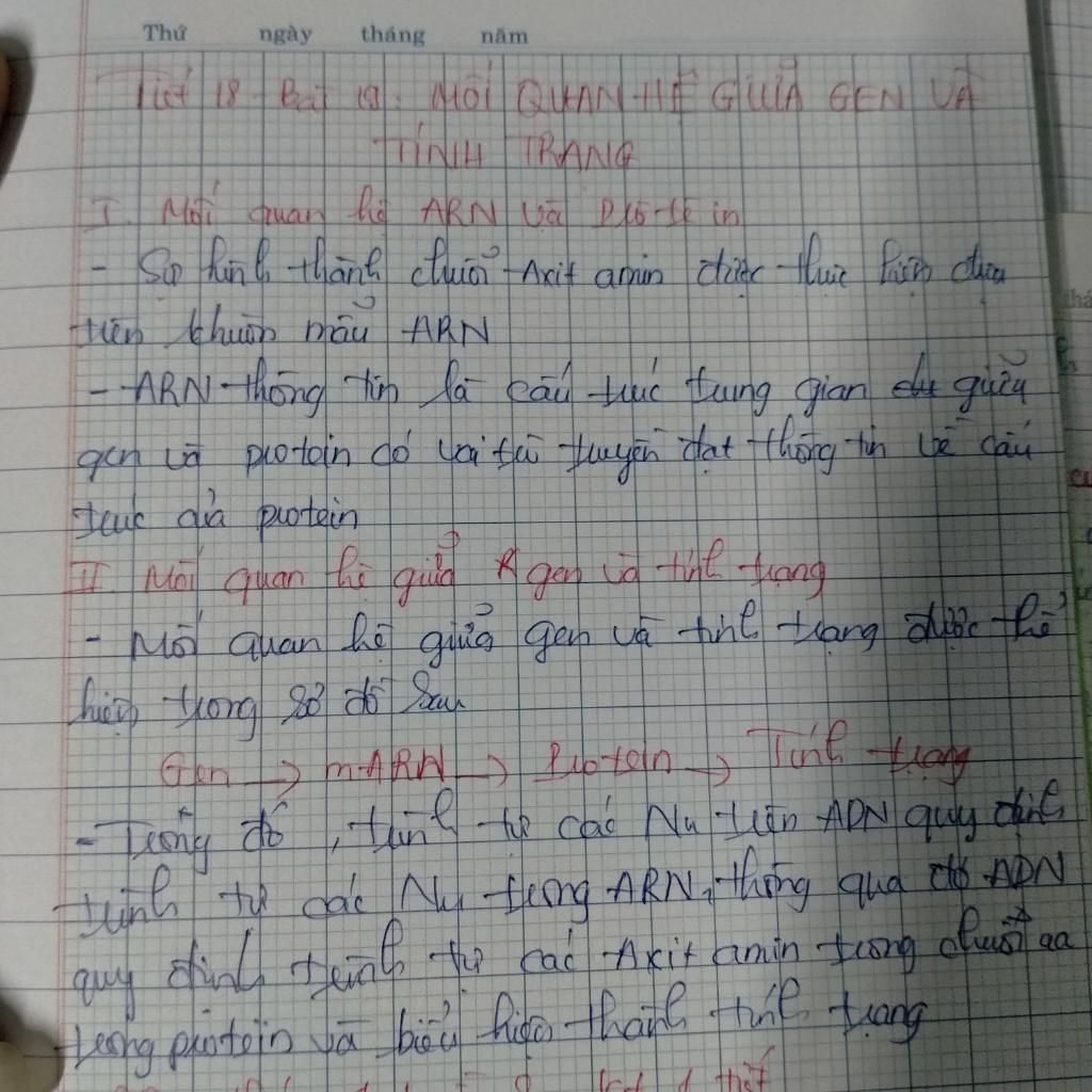 trình bày mối quan hệ giữa hoạt động của ADN và hoạt động của gen? trinh-bay-moi-quan-he-giua-hoat-dong-cua-adn-va-hoat-dong-cua-gen