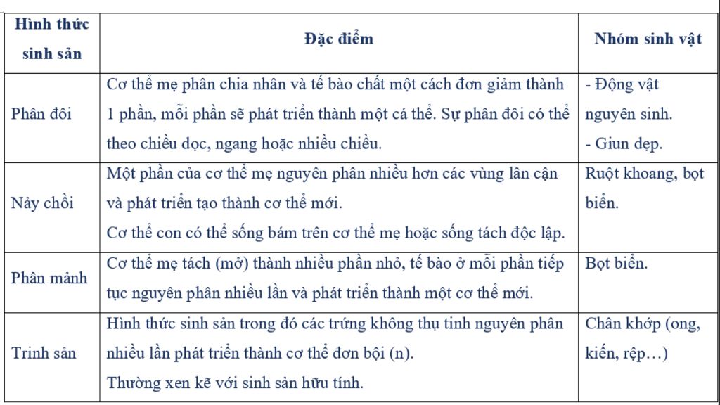 trinh-bay-mot-so-truong-hop-sinh-san-dac-biet-giup-e-voi