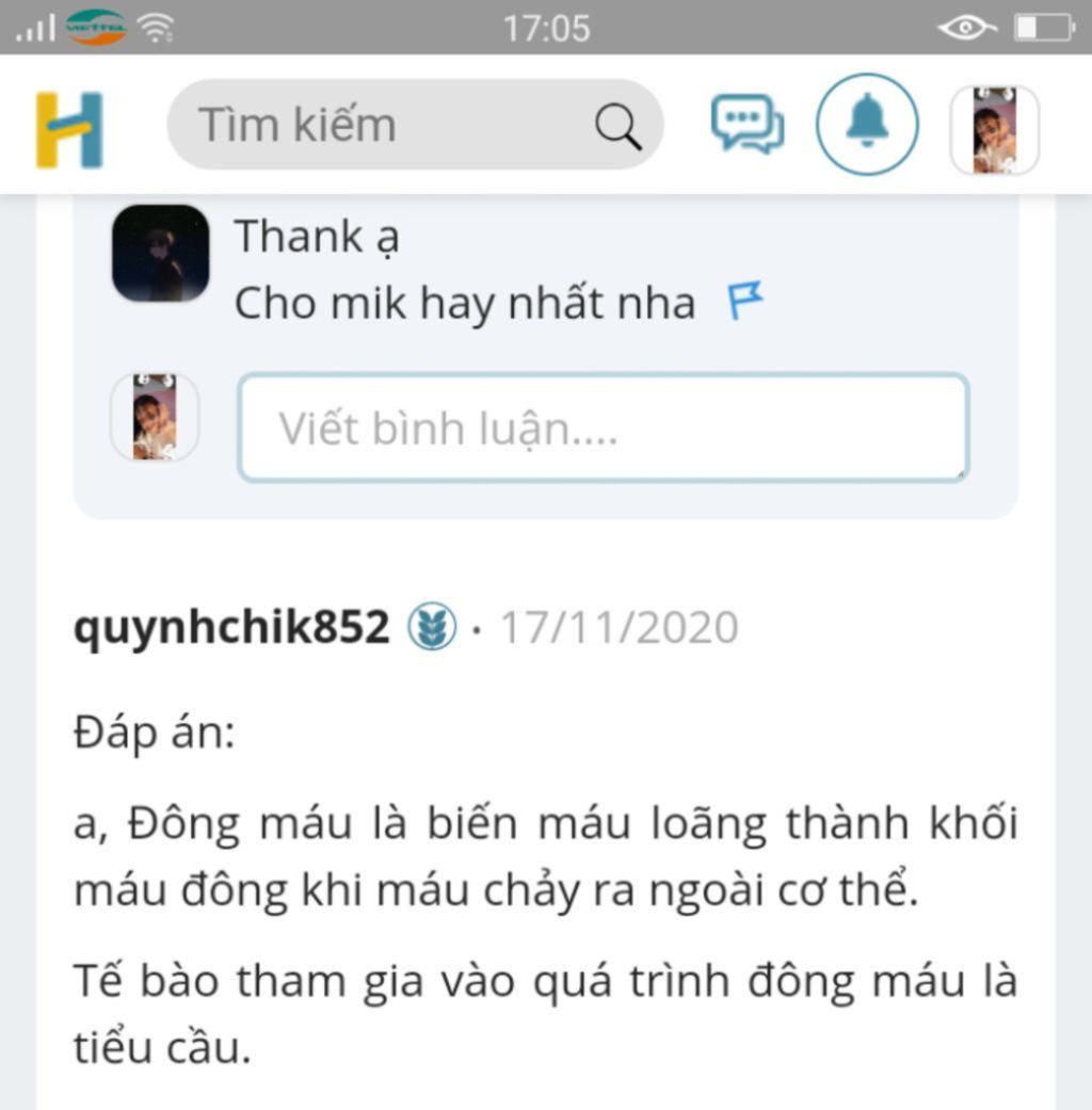 trinh-bay-qua-trinh-dong-mau-cho-mik-nha