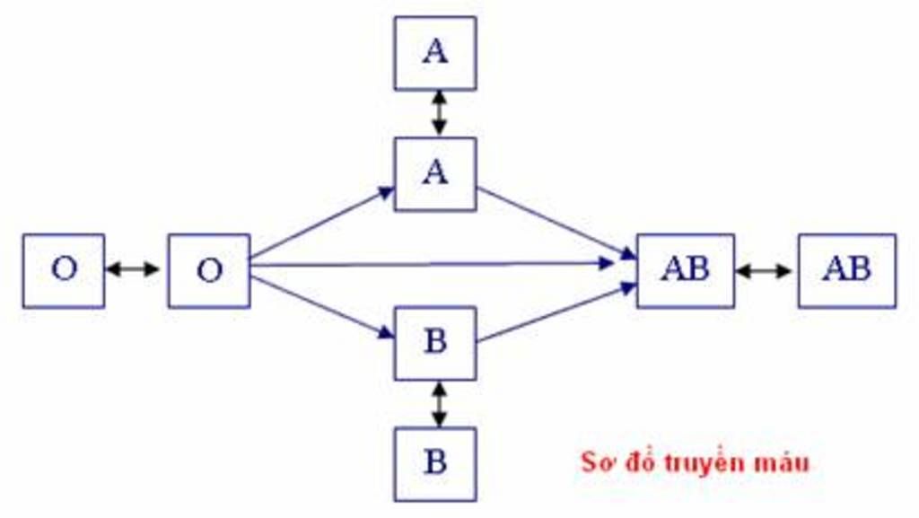 trinh-bay-so-do-phan-anh-moi-quan-he-va-nhan-cac-nhom-mau-nguyen-tac-can-tuan-thu-khi-truyen-mau