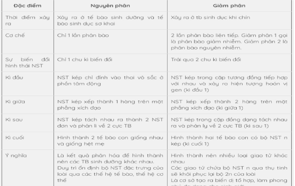 trinh-bay-su-giong-va-khac-nhau-giua-nguyen-phan-va-giam-phan