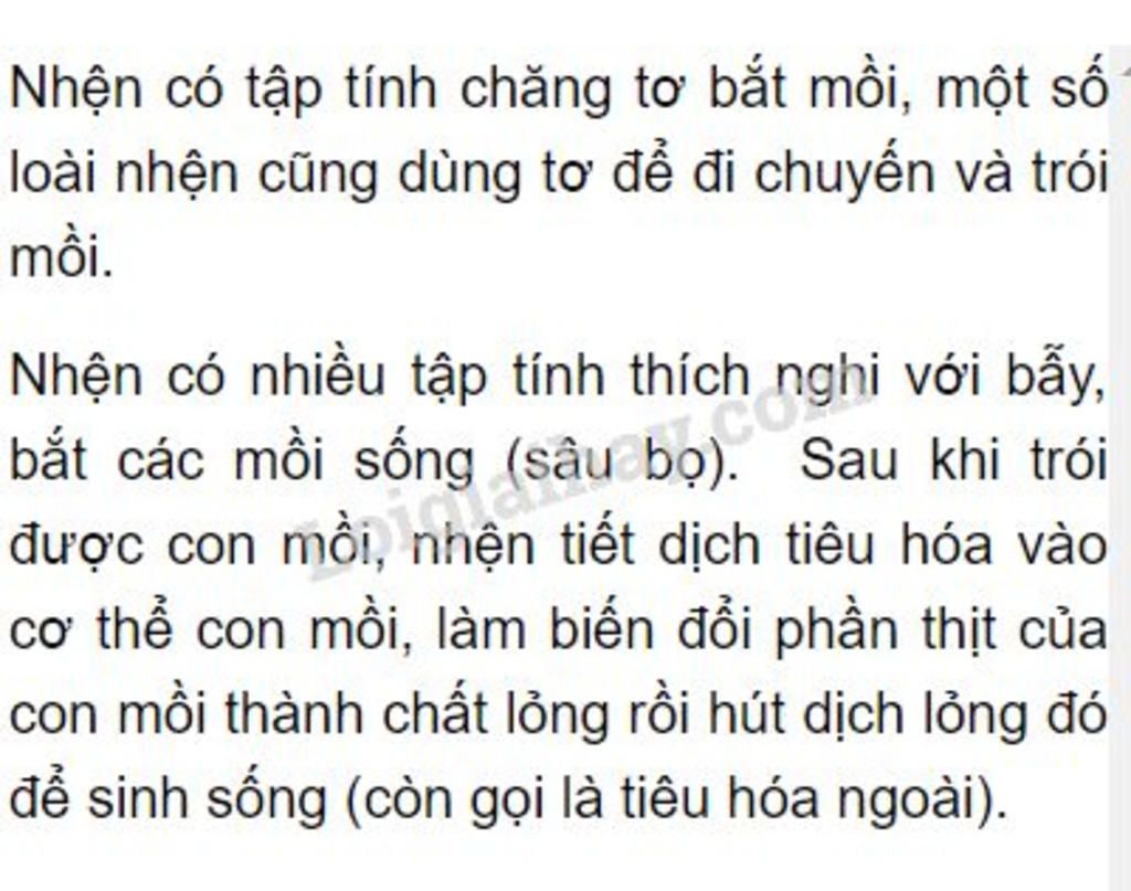 trinh-bay-tap-tinh-thich-nghi-va-loi-song-cua-nhen