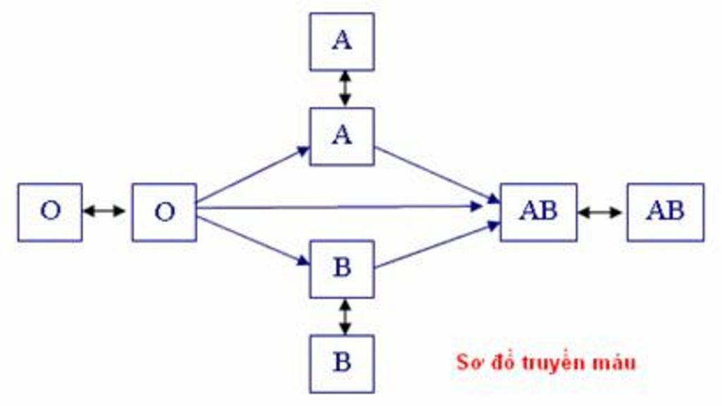 trinh-bay-thanh-phan-cau-tao-cua-mau-neu-co-che-dong-mau-ve-so-do-moi-quan-he-cho-va-nhan-giua-c