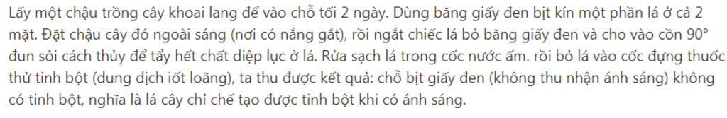 trinh-bay-thi-nghiem-hien-tuong-giai-thich-va-ket-luan-ve-la-che-tao-tinh-bot