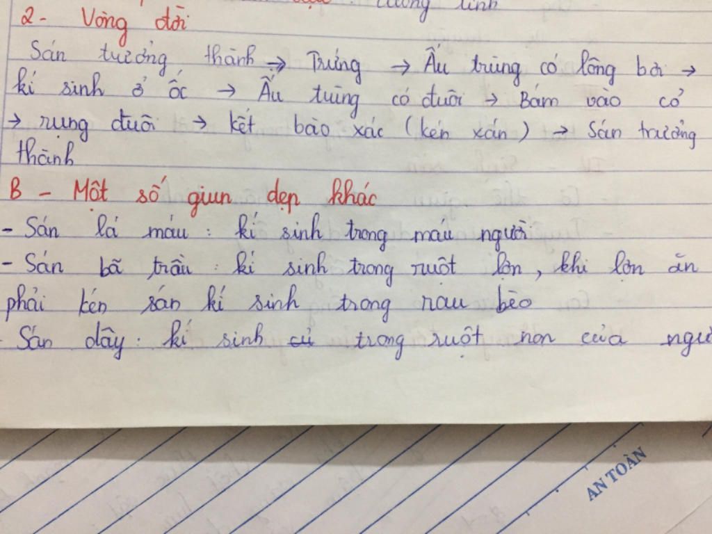 trinh-bay-vong-doi-cua-san-la-gan-va-cau-tao-ngoai-cua-giun-dat-voi-doi-song-trong-dat-nhu-the-n