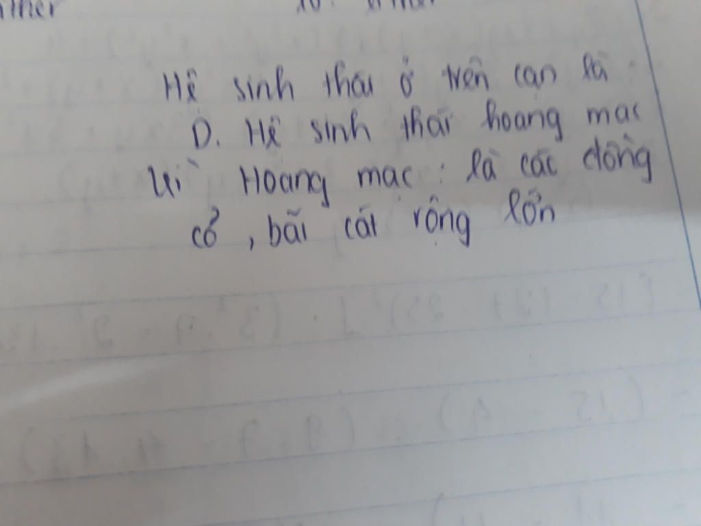 trong-cac-he-sinh-thai-tren-he-sinh-thai-nao-o-tren-can-a-rung-ngap-man-b-he-sinh-thai-bien-khoi