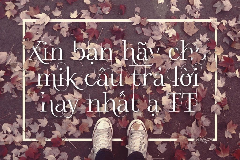 trong-cac-loai-cay-sau-cay-nao-co-gan-song-song-a-cay-buoi-c-cay-dia-lien-b-cay-oai-d-cay-mia