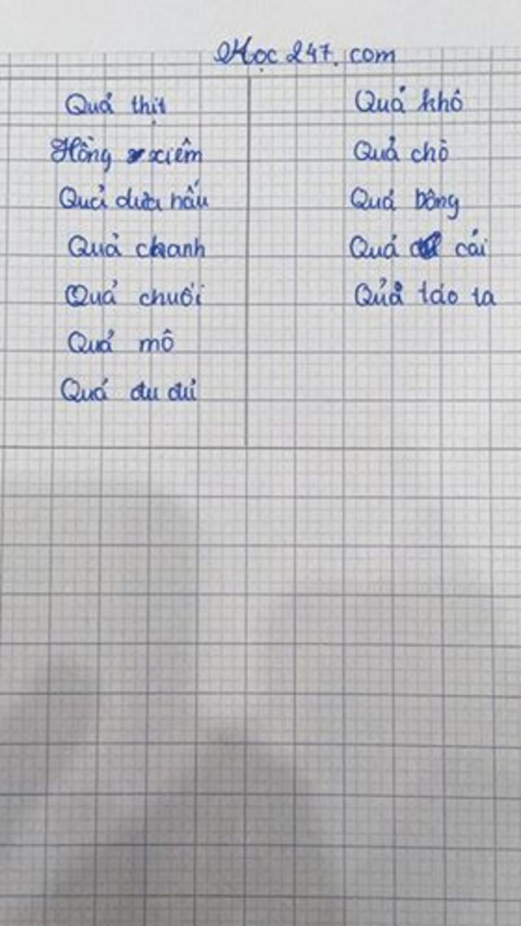 trong-cac-loai-qua-sau-qua-cai-qua-hong-iem-qua-chuoi-qua-mo-qua-dua-hau-qua-du-du-qua-cho-qua-b