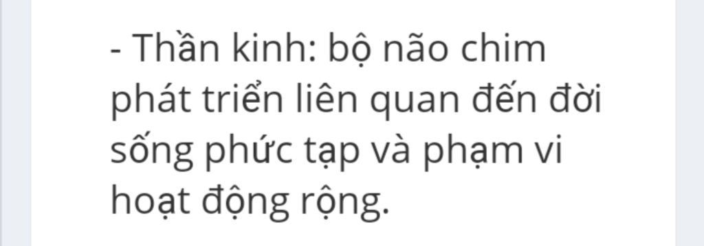 trong-cau-tao-cua-nao-chim-bo-cau-bo-phan-nao-phat-trien-nhat