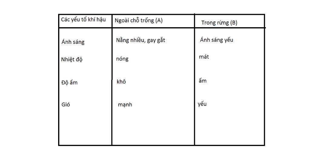 trong-cung-mot-khu-vuc-nhung-giua-noi-co-dat-trong-va-rung-cay-khi-hau-co-hoan-toan-giong-nhau-k