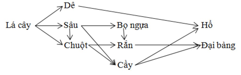 trong-he-sinh-rung-nhiet-doi-viet-nam-hay-lap-6-chuoi-thuc-an-moi-chuoi-co-5-mat-ich-tao-luoi-th