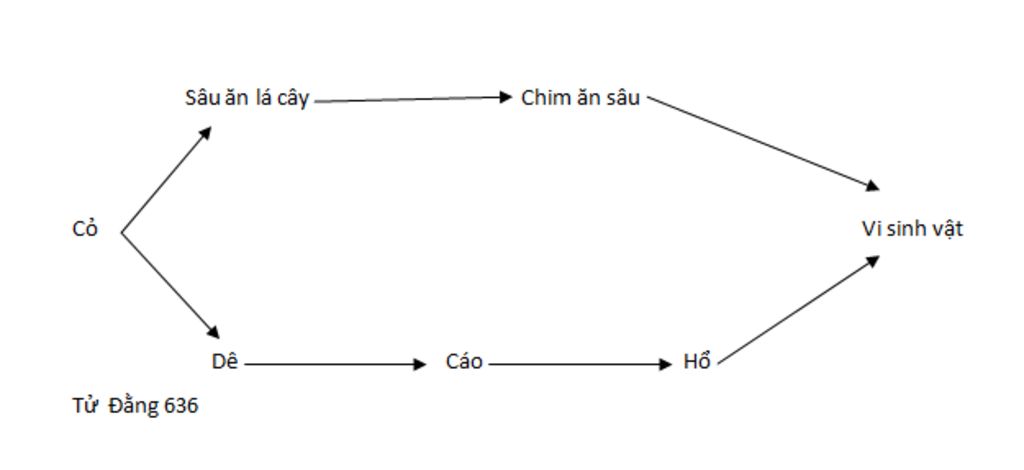 trong-he-sinh-thai-co-cac-thanh-phan-sau-vi-sinh-vat-de-sau-an-la-cay-chim-an-sau-ho-cao-co-a-ve