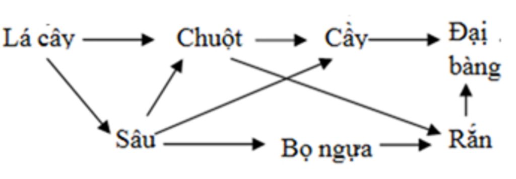 trong-he-sinh-thai-rung-gom-cac-sinh-vat-dai-bang-ran-bo-ngua-cay-chuot-sau-thuc-vat-hay-ve-so-d