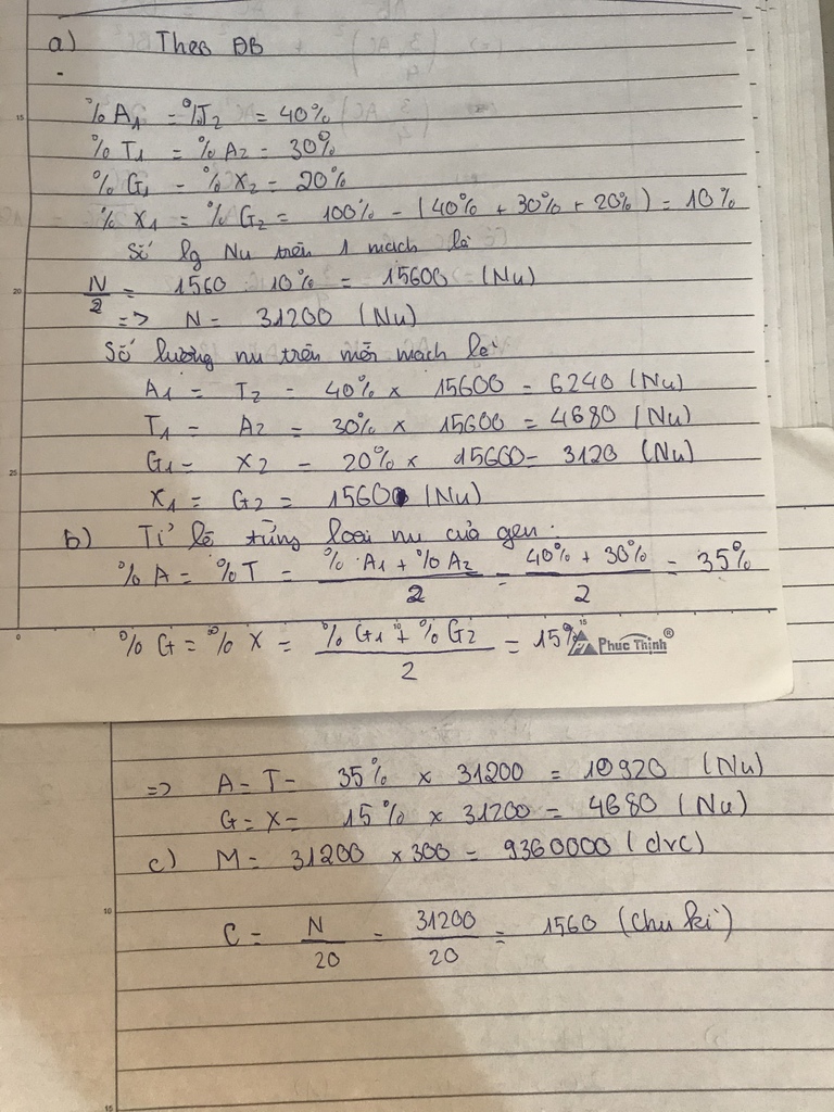 trong-mach-thu-nhat-cua-mot-phan-tu-adn-co-a-chiem-40-g-chiem-20-t-chiem-30-va-156-10-nu-a-tim-t