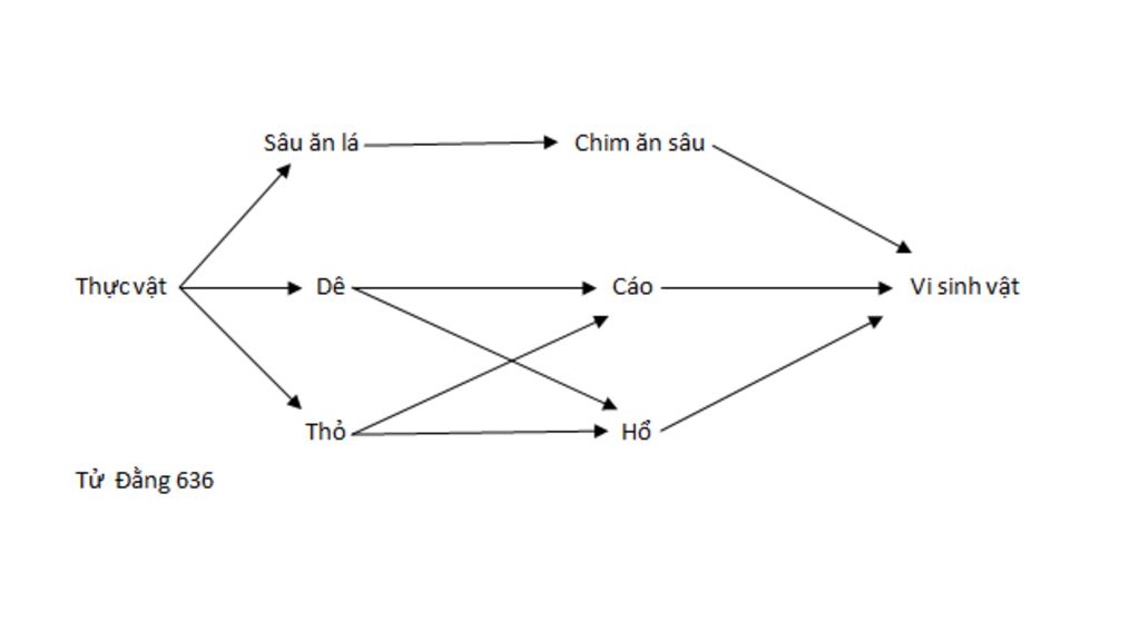 trong-mot-he-sinh-thai-co-cac-sinh-vat-sau-vi-sinh-vat-de-sau-an-la-cay-chim-an-sau-ho-cao-thuc