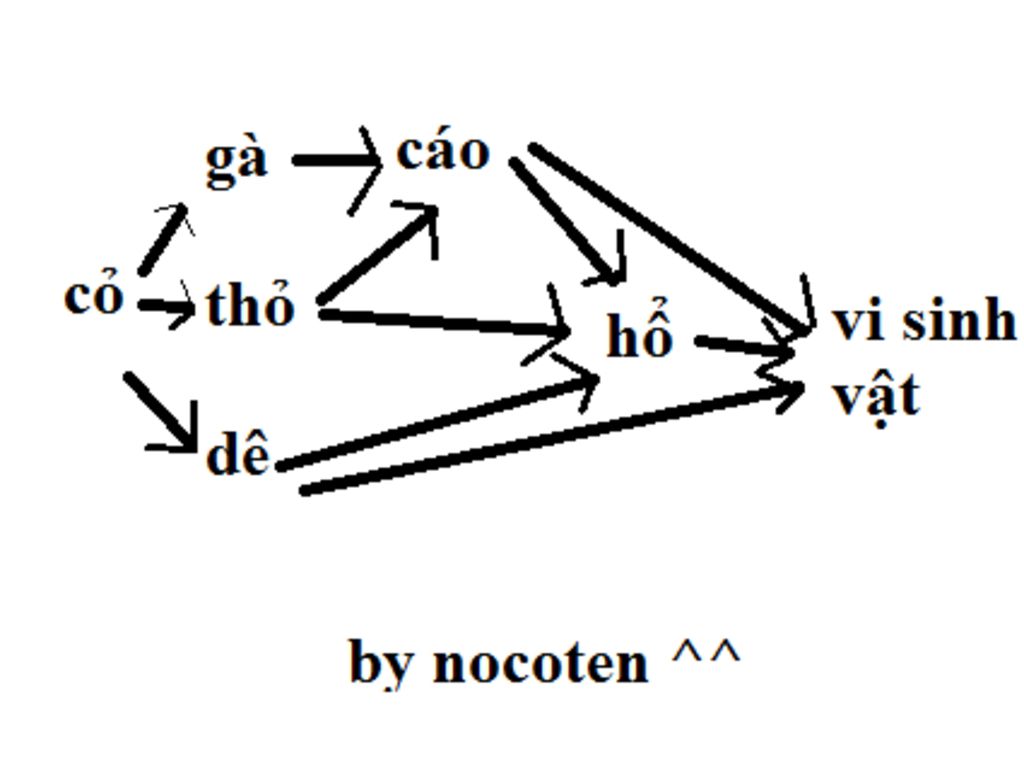 trong-quan-a-sinh-vat-co-cac-loai-sinh-vat-sau-co-de-tho-cao-ga-ho-vi-sinh-vat-lap-4-chuoi-thuc