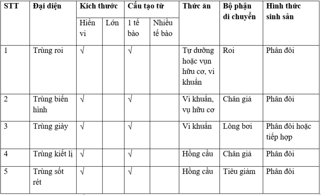 trung-roi-kiet-li-sot-ret-giong-nhau-diem-nao-va-ddieienr-hinh-o-dau