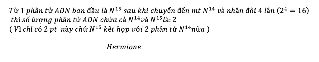 tu-mot-phan-tu-adn-ban-dau-duoc-danh-dau-n15-tren-ca-hai-mach-don-qua-mot-so-lan-nhan-doi-trong